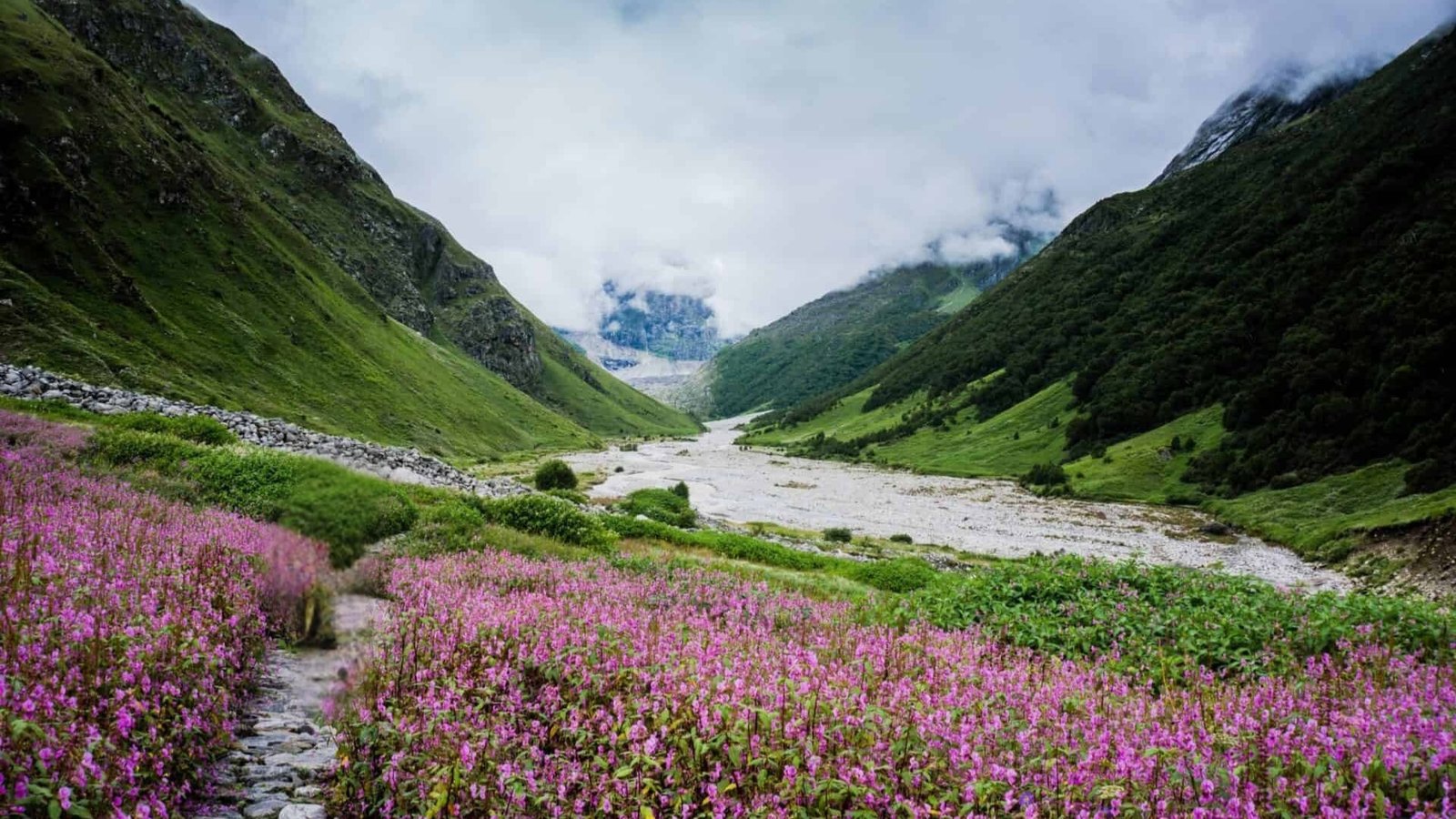valley of flowers uttarakhand